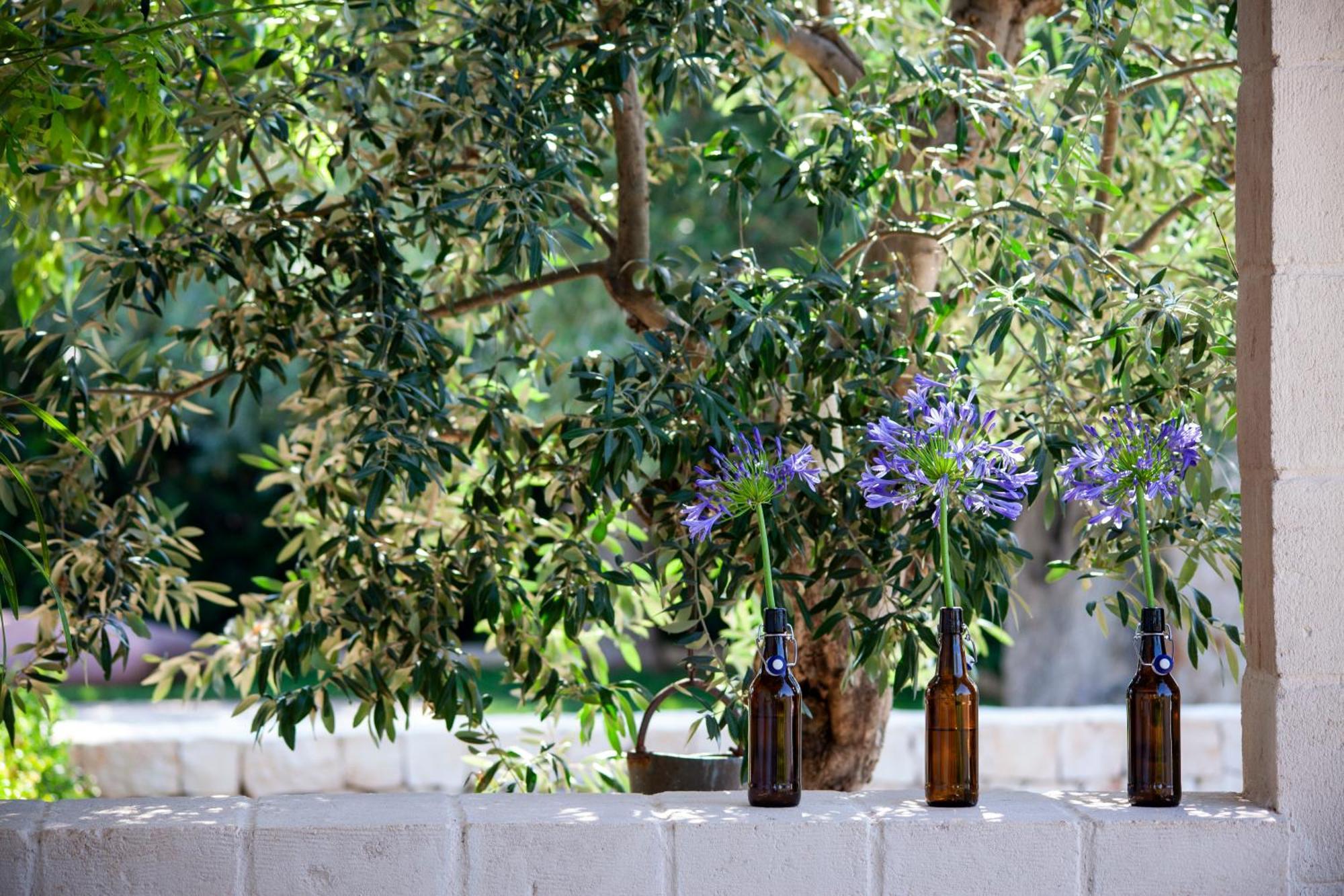 Casa Mia In Puglia Pensionat Conversano Eksteriør billede